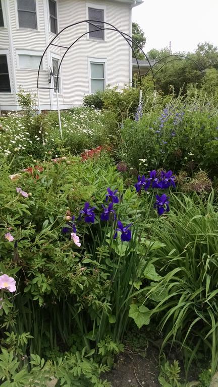 Cambridge Covington Manor B&B מראה חיצוני תמונה
